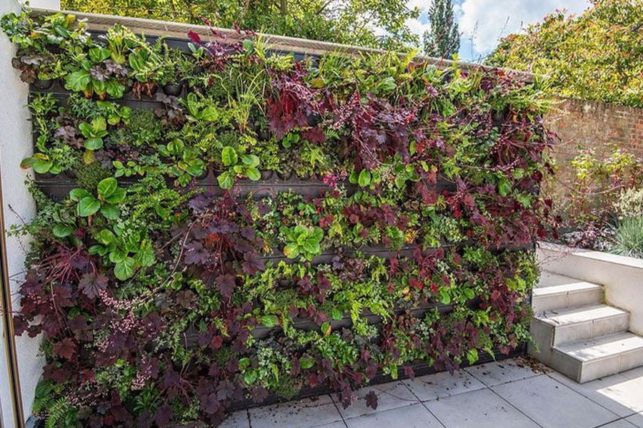 living-wall