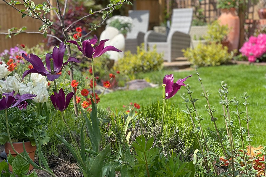 spring-gardening